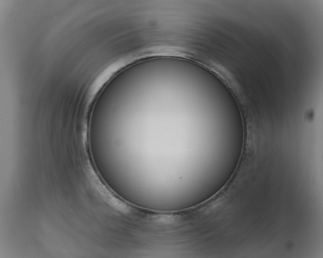 X0000112501188200908241342