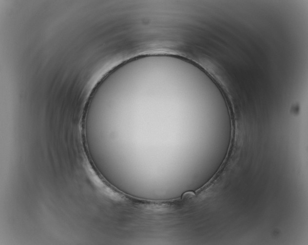 X0000112501189200908241342