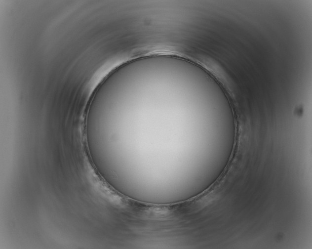 X0000112501190200908241342