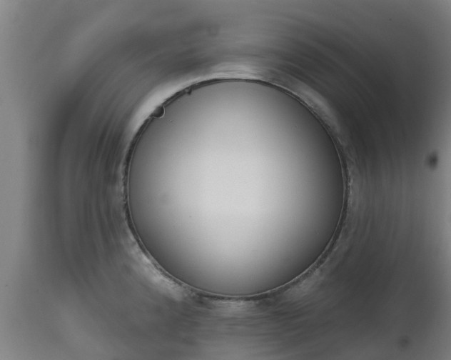 X0000112501192200908241342