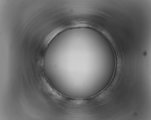 X0000112501193200908241342