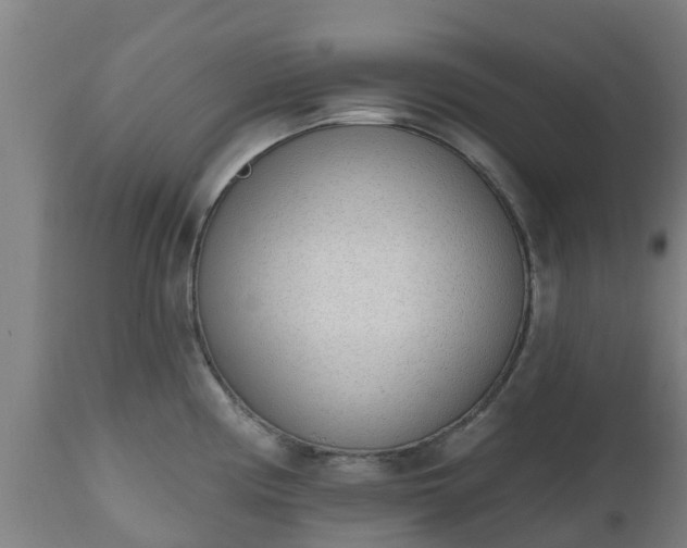 X0000112501194200908241342