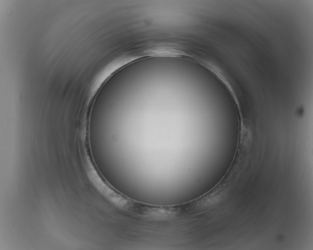 X0000112501195200908241342