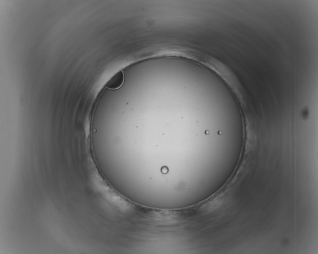 X0000112501198200908241342