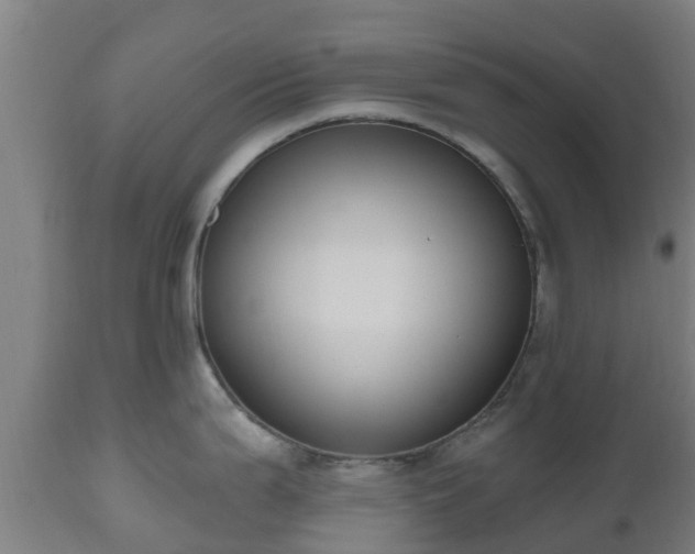 X0000112501199200908241342