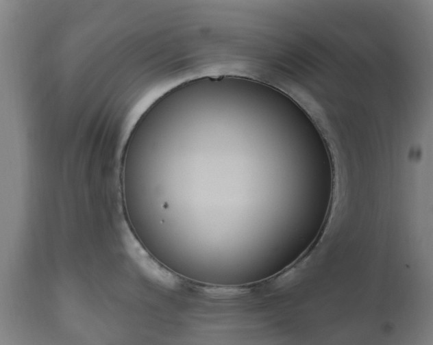 X0000112501200200908241342