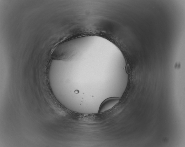 X0000112501201200908241341