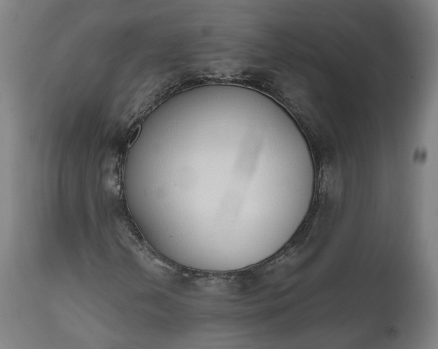 X0000112501202200908241341