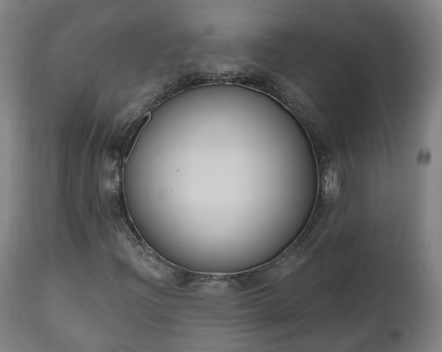 X0000112501204200908241341