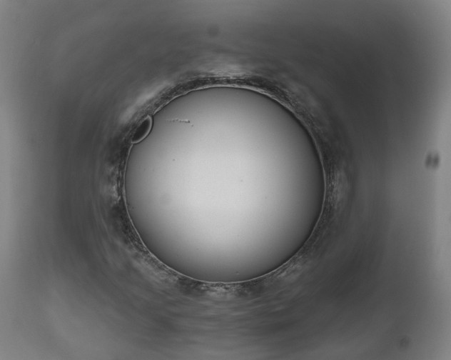 X0000112501205200908241341