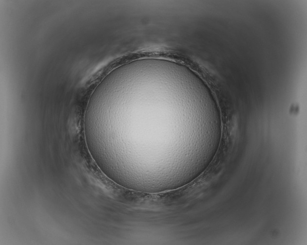 X0000112501206200908241341