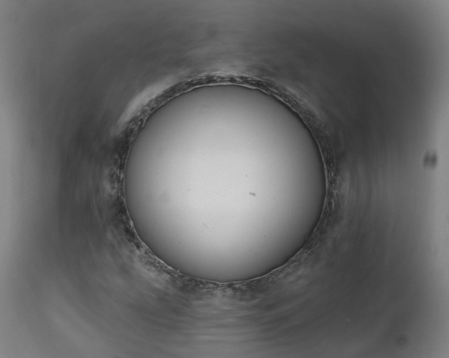 X0000112501207200908241341