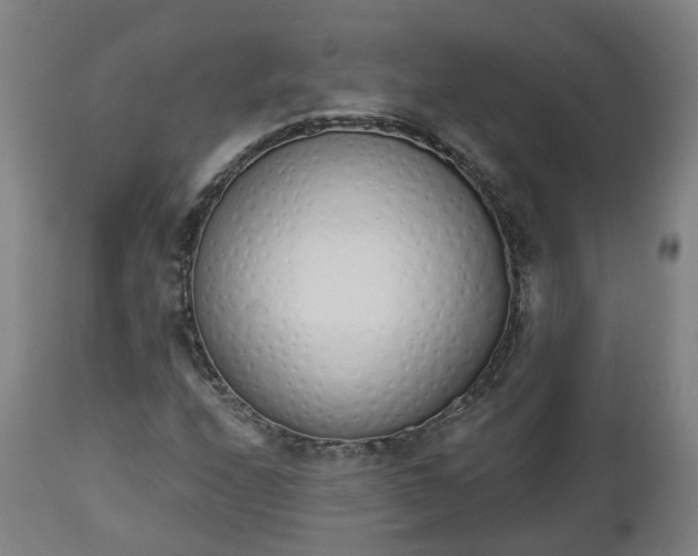 X0000112501208200908241341