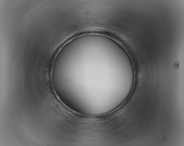 X0000112501209200908241341