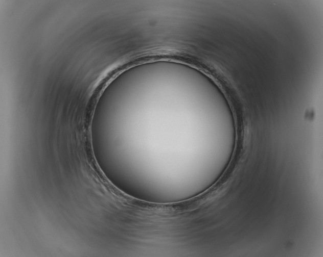 X0000112501210200908241341