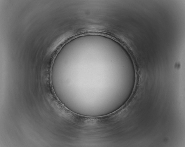 X0000112501211200908241341