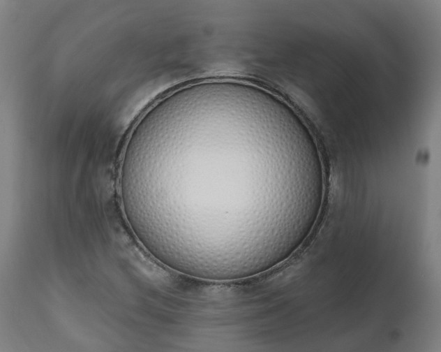 X0000112501212200908241341