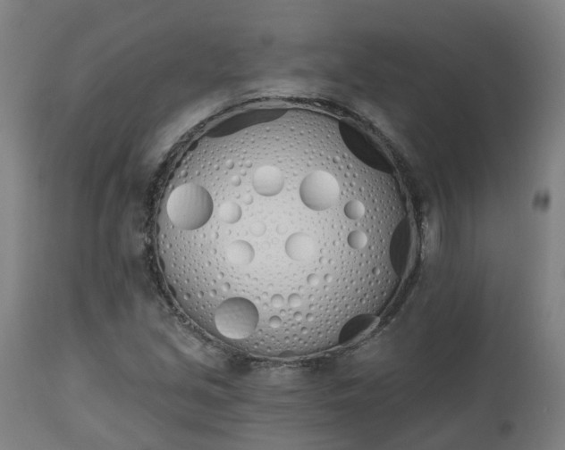 X0000112501213200908241341