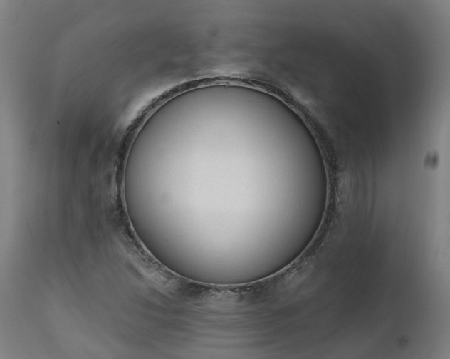 X0000112501214200908241341