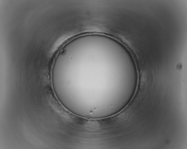 X0000112501215200908241341