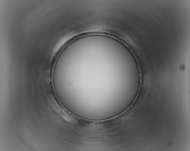 X0000112501216200908241341