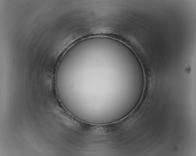 X0000112501217200908241341