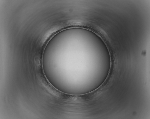 X0000112501218200908241341