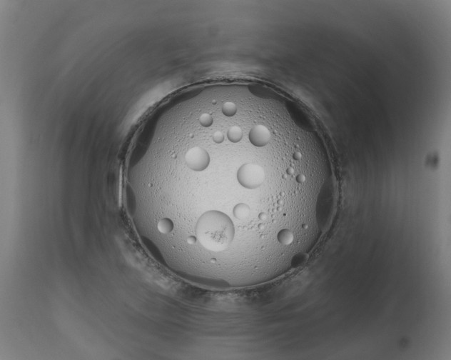 X0000112501219200908241341