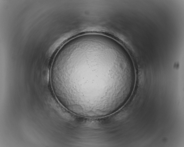 X0000112501221200908241341