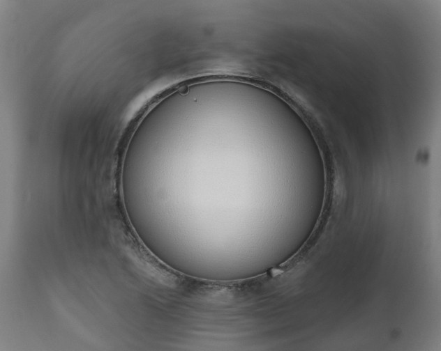 X0000112501222200908241341