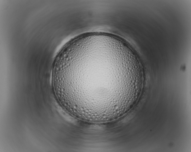 X0000112501224200908241341