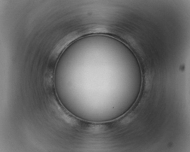 X0000112501225200908241341