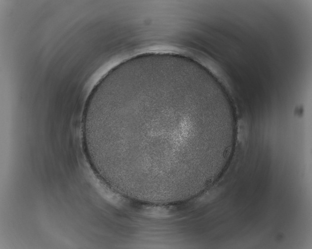 X0000112501229200908241342