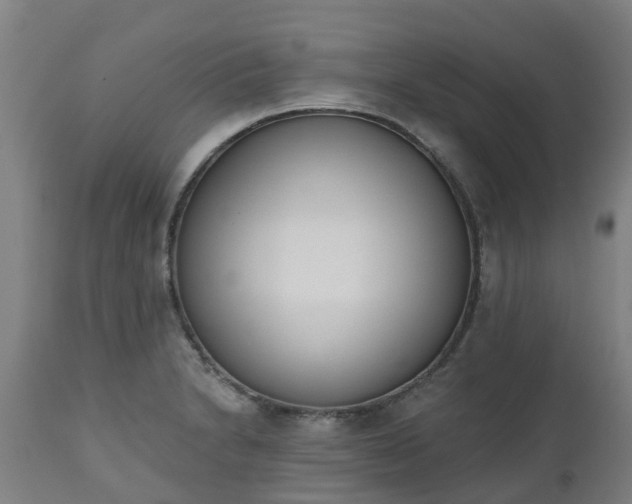 X0000112501230200908241342