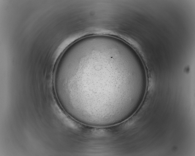 X0000112501231200908241342