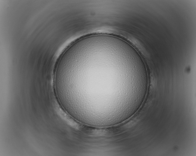 X0000112501232200908241342