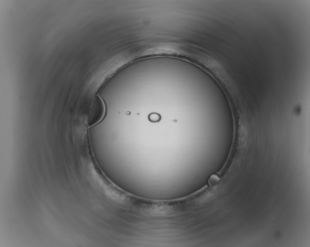 X0000112501233200908241342