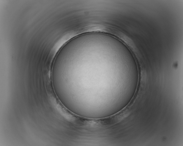 X0000112501234200908241342