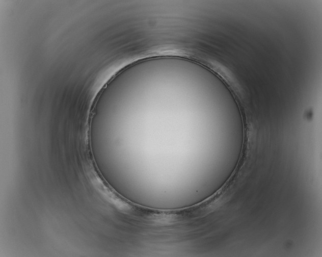 X0000112501236200908241342