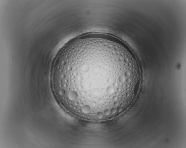 X0000112501237200908241342