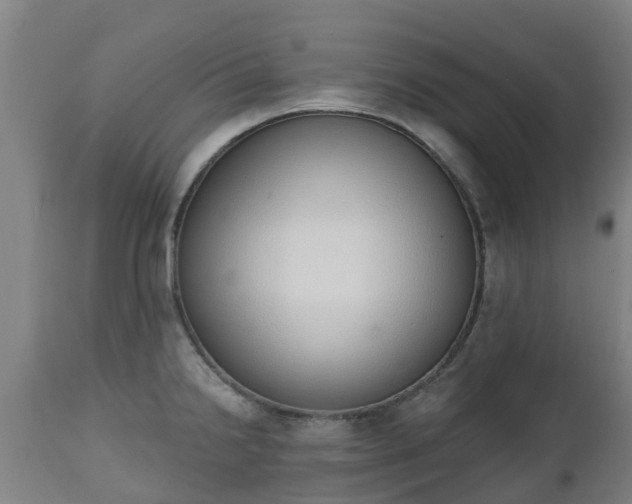 X0000112501238200908241342