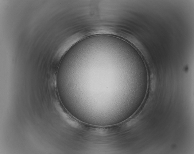 X0000112501241200908241342