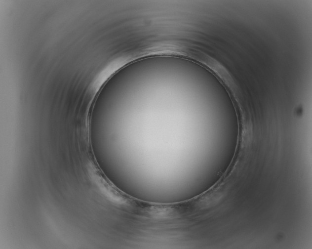 X0000112501242200908241342