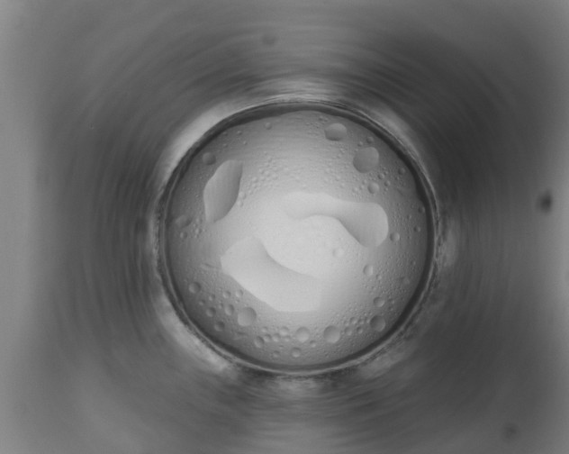 X0000112501243200908241342