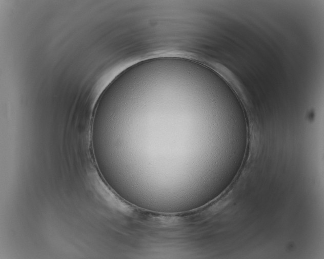 X0000112501244200908241342