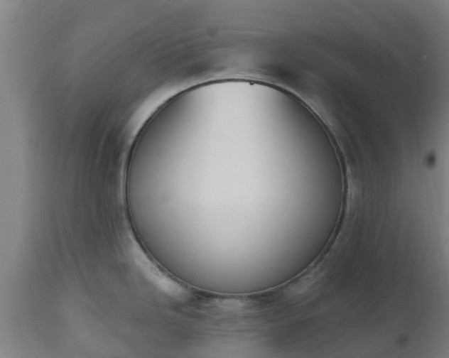 X0000112501246200908241342