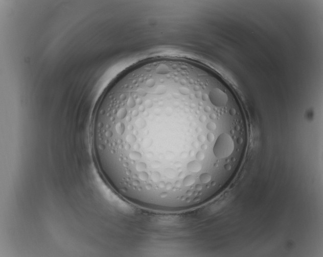 X0000112501247200908241342