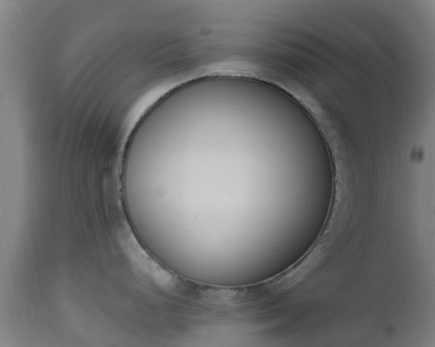 X0000112501248200908241342