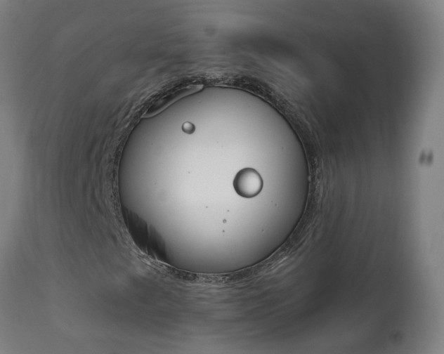 X0000112501249200908241341