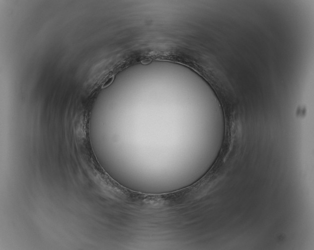 X0000112501250200908241341